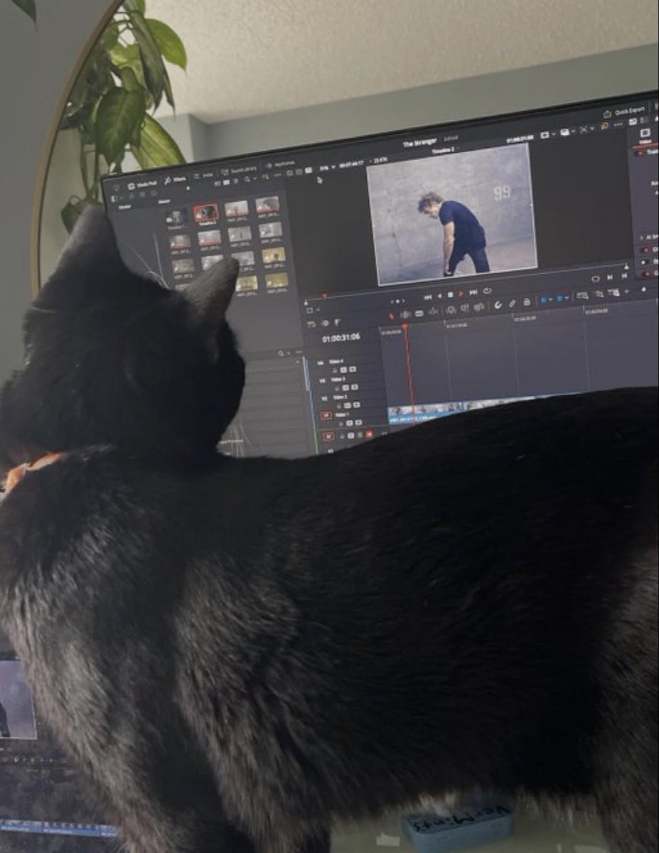 wassuphifza's tweet photo. cat dad hudson is so special to me https://t.co/pnWWUyRyPS