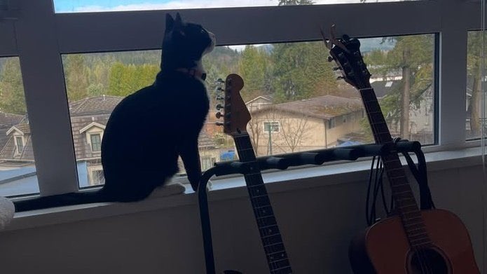 wassuphifza's tweet photo. cat dad hudson is so special to me https://t.co/pnWWUyRyPS