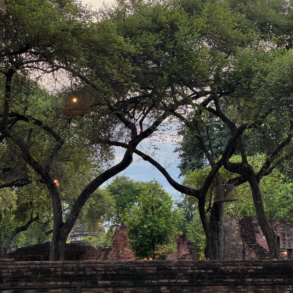 prismagnon's tweet photo. uthai • ayutthaya https://t.co/zlBHT04AQO