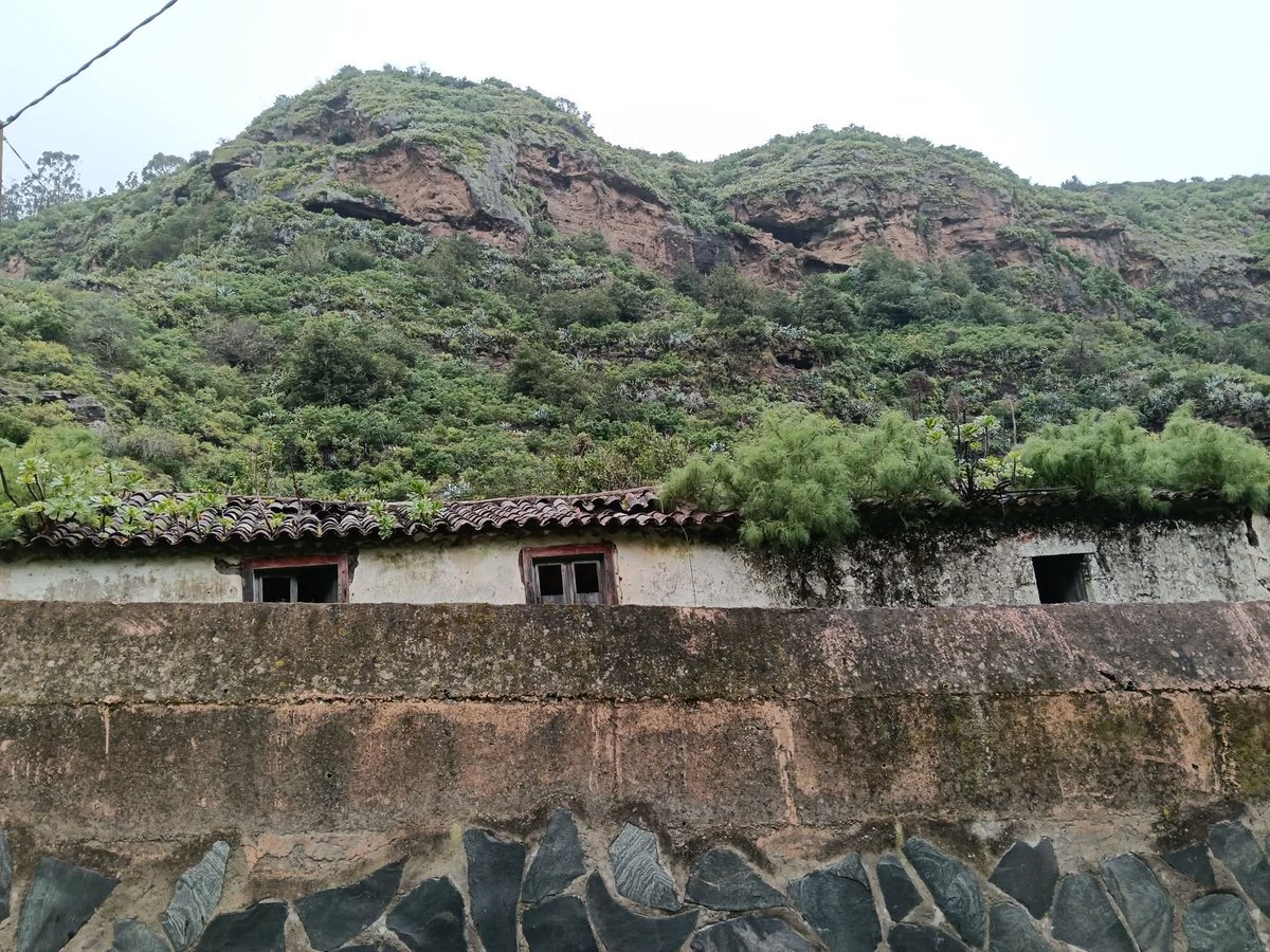 Bcodelavirgen's tweet photo. Buenos días 😉
Buen comienzo de semana 
#Valsendero
#barrancodelavirgen 
#valleseco
#vallesecosuspaisajesemanasygentes 
#turismovalleseco
#grancanaria
#parqueruraldoramas
#radiovalleseco

Barranco de la Virgen https://t.co/kmEd22dN4A