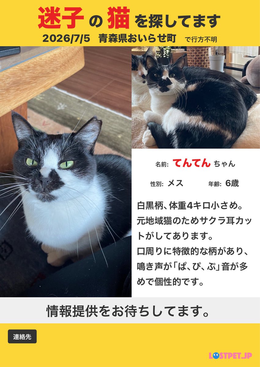 tobioyaka_'s tweet photo. どうか拡散お願いいたします。
#おいらせ町 
#脱走猫 
#さくら耳カット https://t.co/ZBylxNBdZE