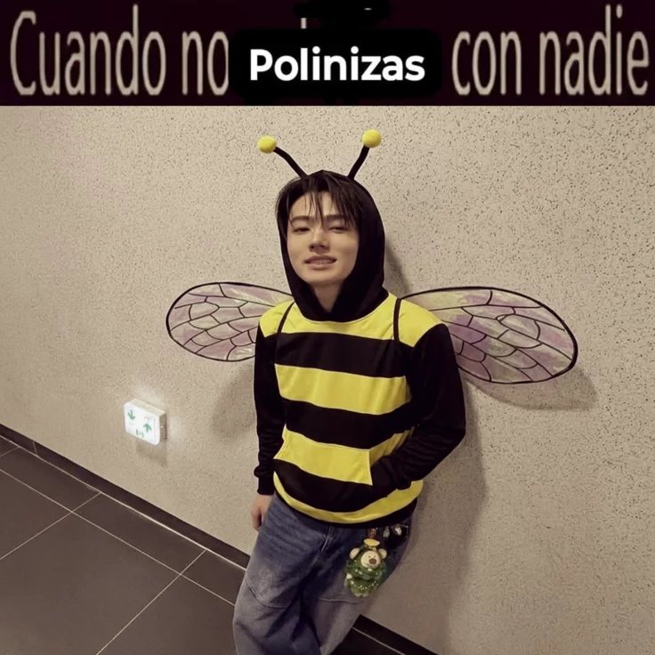𓍢ִ໋🌷͙֒♫₊˚.Sebas va a ver a BTS𓍢ִ໋🇺🇾 tweet media