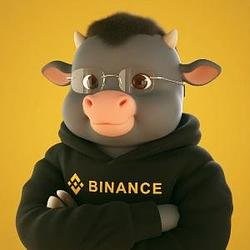 whaleclank's tweet photo. $BABYCZ IS GOING LIVE NOW ON @clanker_world

 launch my token on BNB
Name: The Final Baby Bull
Ticker: BABYCZ

And lock 10% supply for 7 days https://t.co/2wTCakpBaQ