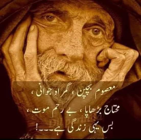 Asifmehmoodbha4's tweet photo. تلخ حقیقت ،،، https://t.co/S2BylsvWyW