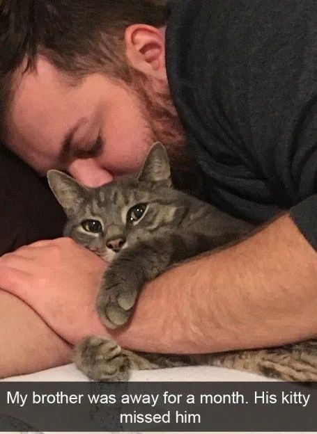 Cats Out Of Context tweet media