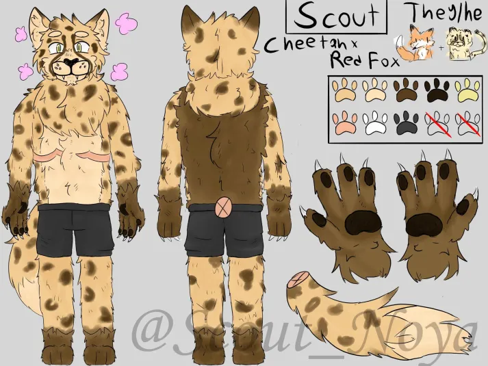 Scout1n9's tweet photo. 2024 vs 2026 https://t.co/xtB08ZslO2