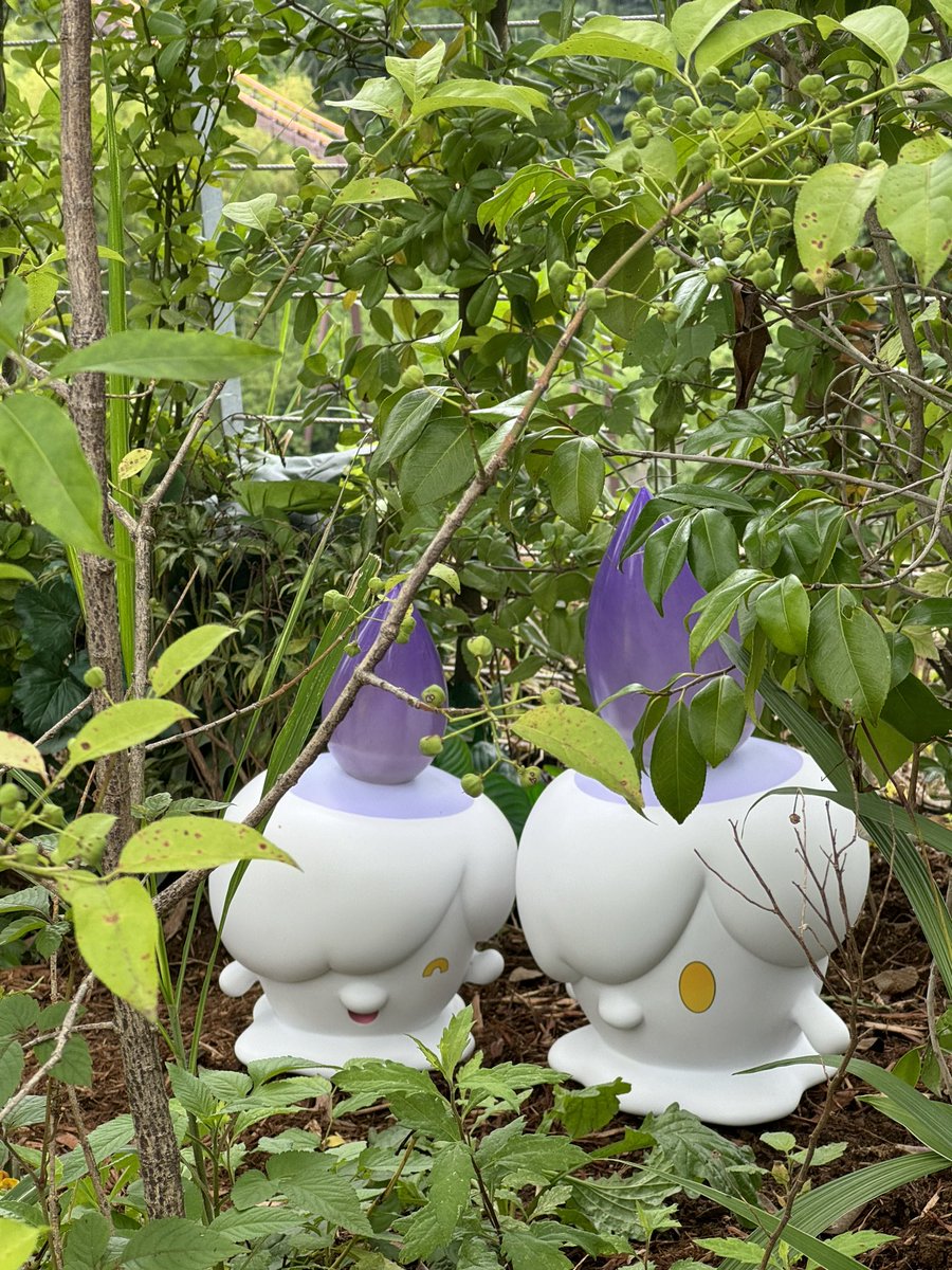 ma_ri_0095's tweet photo. ヒトモシちゃんおった🫶🤍 https://t.co/JqnSHhQfJr