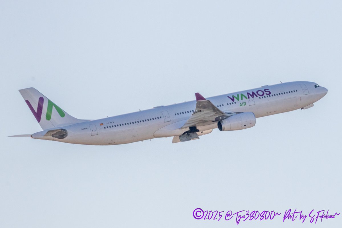 Tga380800's tweet photo. Airline:Wamos Air
Aircraft:A330-300
Locations:NRT
Date:26/12/2025
Remarks:
#WamosAir #ワモスエア #EB
#Airbus #A330 #A330300
#NRT #NaritaInternationalAirport #成田空港 #成田国際空港 #RJAA
#飛行機好きな人と繋がりたい #飛行機好きな人 #飛行機写真 https://t.co/sWmhWUzBF3