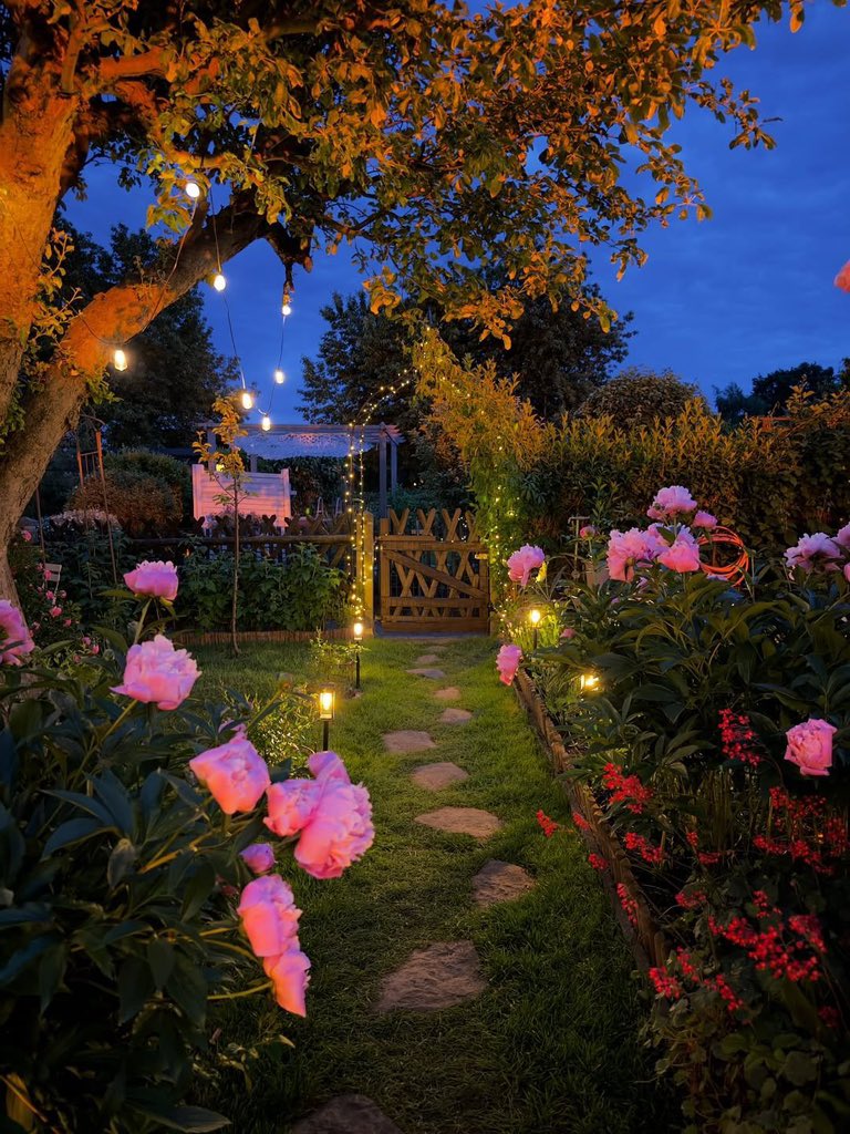 Pure_naturess's tweet photo. a garden straight out of a fairy tale https://t.co/7DrzPto89T