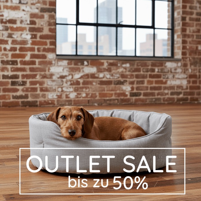 DOGS_InThe_CITY's tweet photo. Entdecke unsere Neuheiten im Outlet! 😮 #welovedogs #interiorfordogs #Hundekörbchen #Hundebetten https://t.co/Cg9N8icHrO