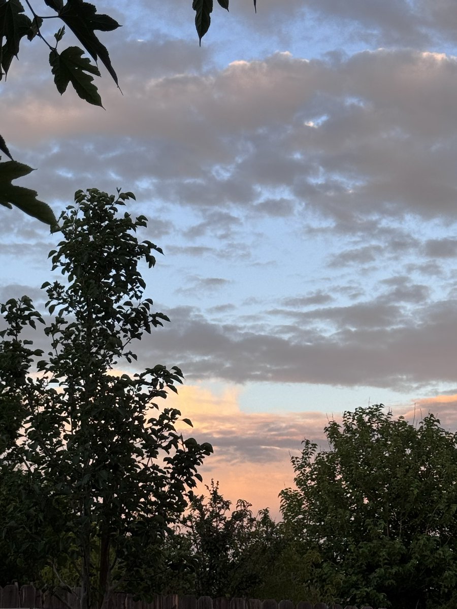 jonimarielew's tweet photo. #sunset #Nevada #desert #skies #clouds #colors #trees https://t.co/yLtodaU2At