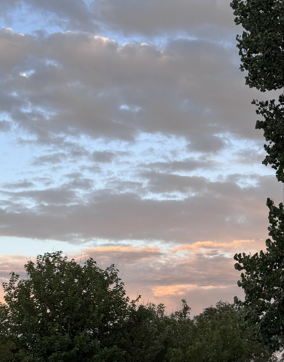 jonimarielew's tweet photo. #sunset #Nevada #desert #skies #clouds #colors #trees https://t.co/yLtodaU2At