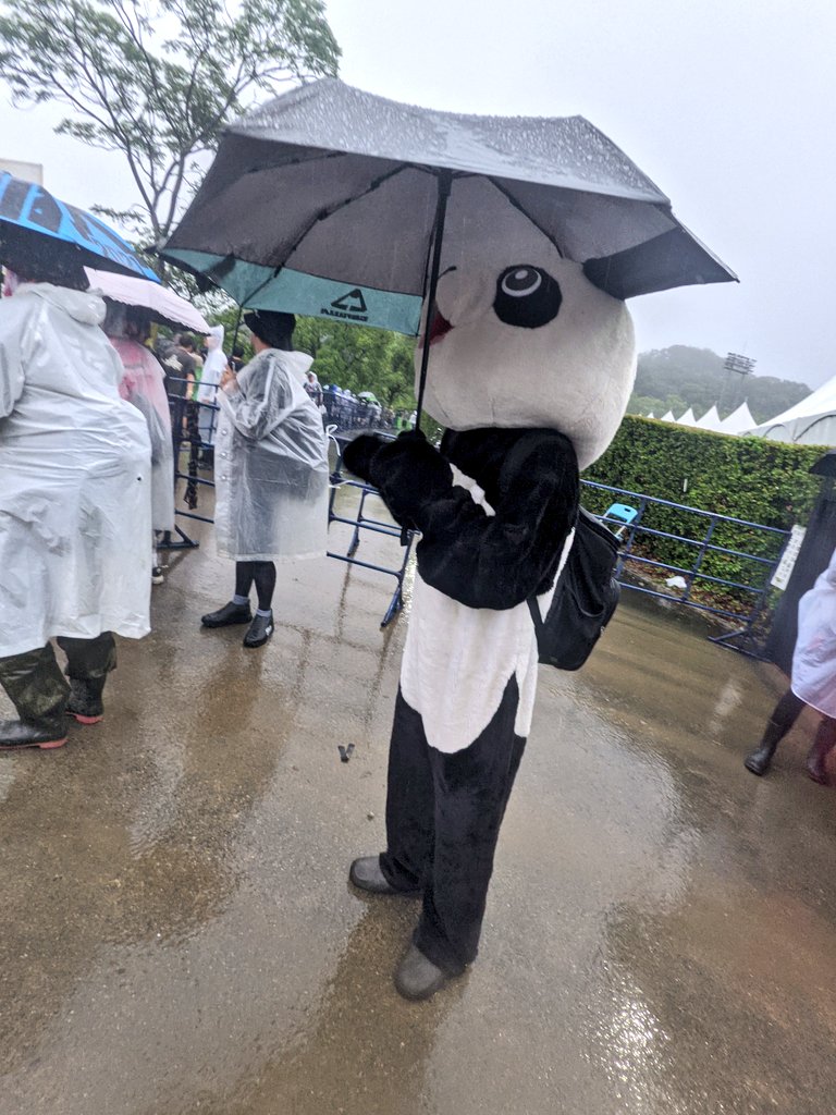 amano3sun's tweet photo. タクマさんが「京都大作戦2026のMVPはお客さんです。」って言ってたけど、そのお客さんの中でのMVPはパンダさんなのでは？ほんとすごすぎる🐼 https://t.co/m9OflflV8p