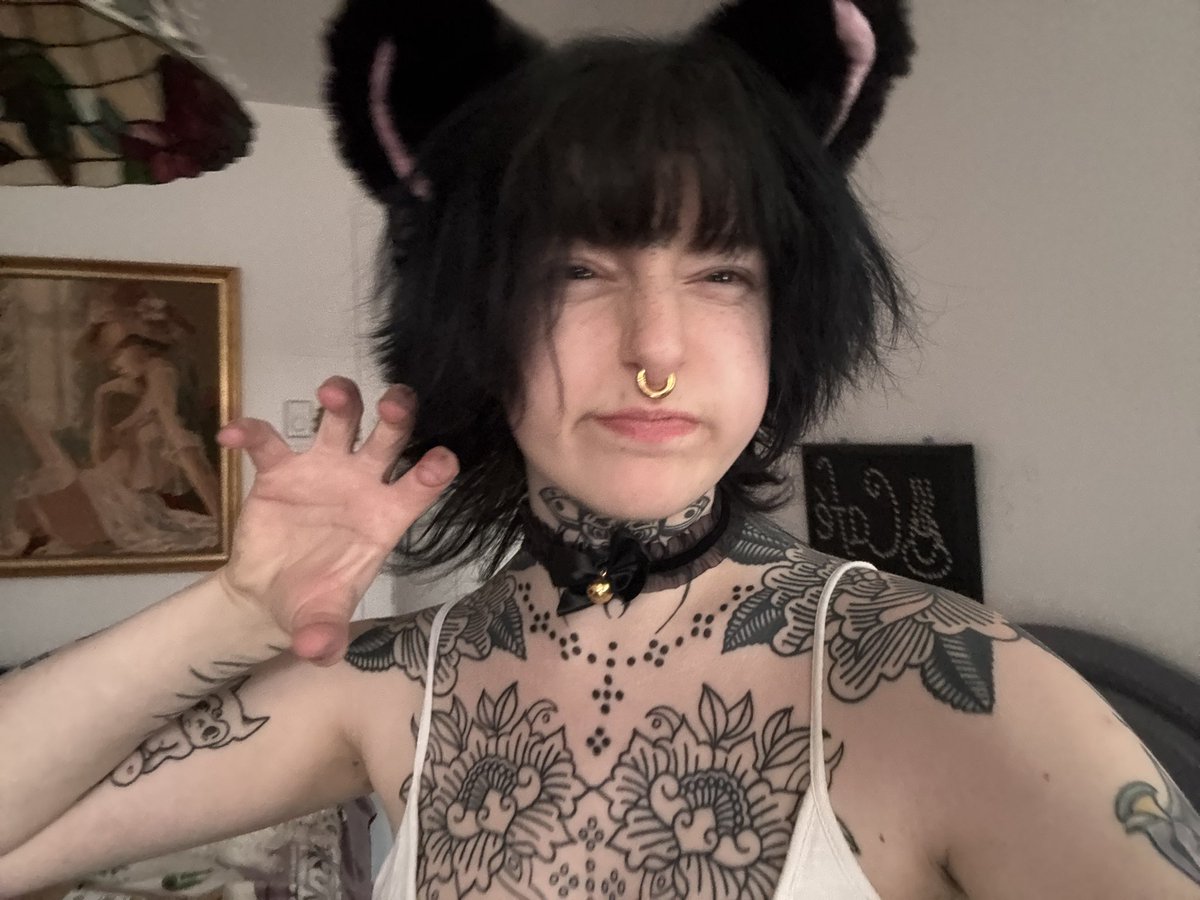 Babeeblush's tweet photo. Anyone up rn? 
#catgirl #cute #PetiteAndPerfect #alt #TattooedOnlyFans #sellingcontent #buyingcontent #OF #nsfwtwtًً #kawaii https://t.co/zmwr3BFlSS