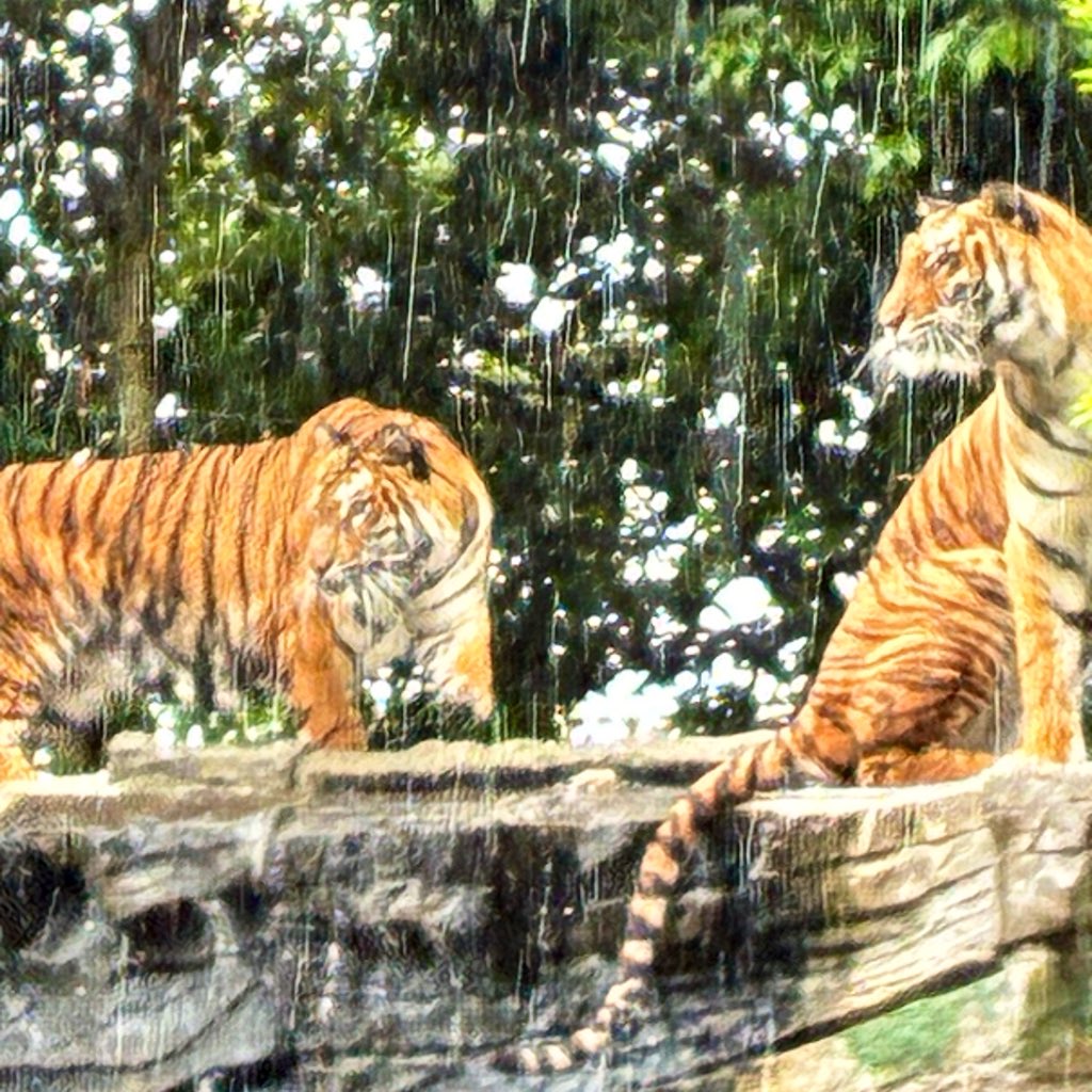 tkw_dmjn's tweet photo. 土砂降りで遊園地の乗り物は坂道のベルトコンベアしか乗れんかったけどサファリ行ったし大型犬とモルモトゥ撫でくりかませたから結果オーライ✌️
でも絶対来月リベンジする！！！！！！！！！ https://t.co/Dx5P5cNmIV