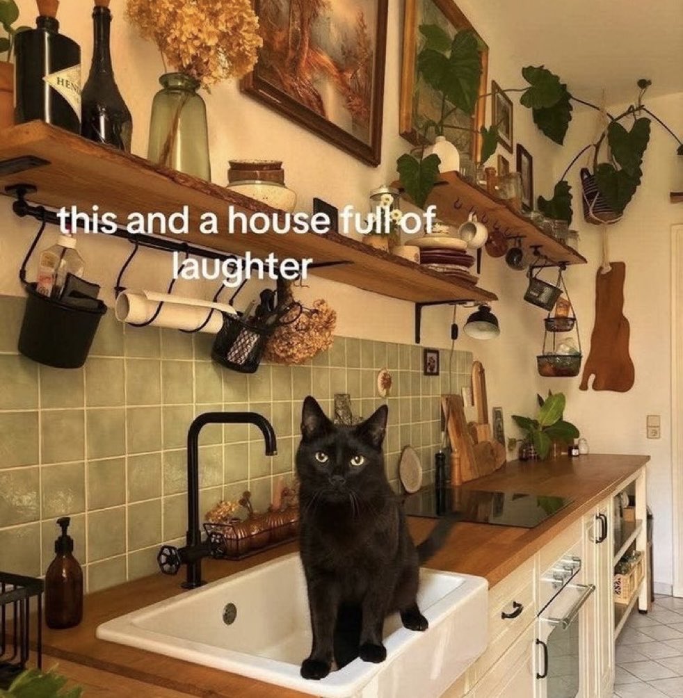 MyCuteCatPage's tweet photo. https://t.co/ZMjHj1dKYp