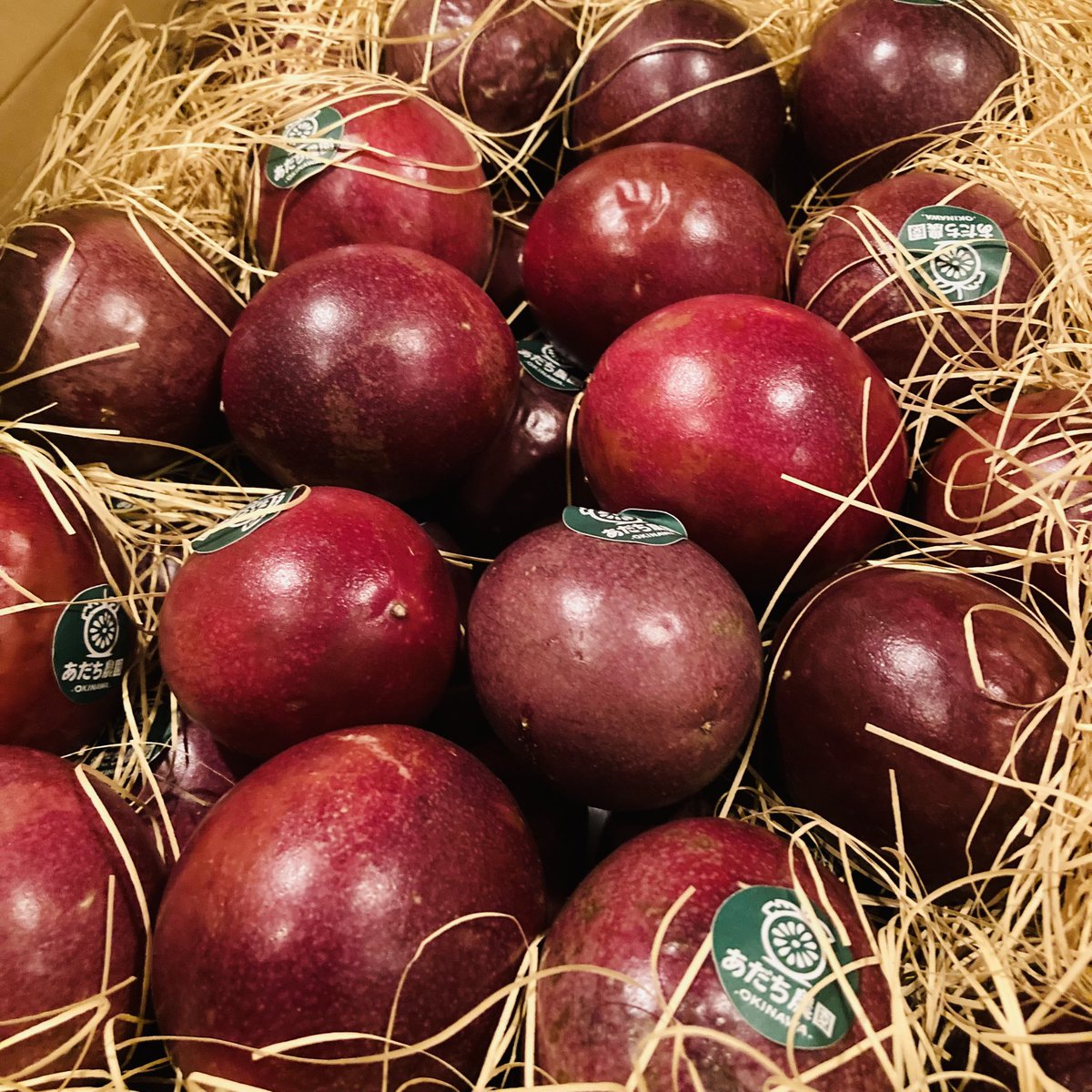 barvizio's tweet photo. パッションフルーツのカクテル
今年は沖縄産のパッションフルーツです。
爽やかな南国の香りです✨
#パッションフルーツ
#パッションフルーツカクテル
#あだち農園
#宇部新川
#バーの街宇部 https://t.co/xV2MmdWYC8