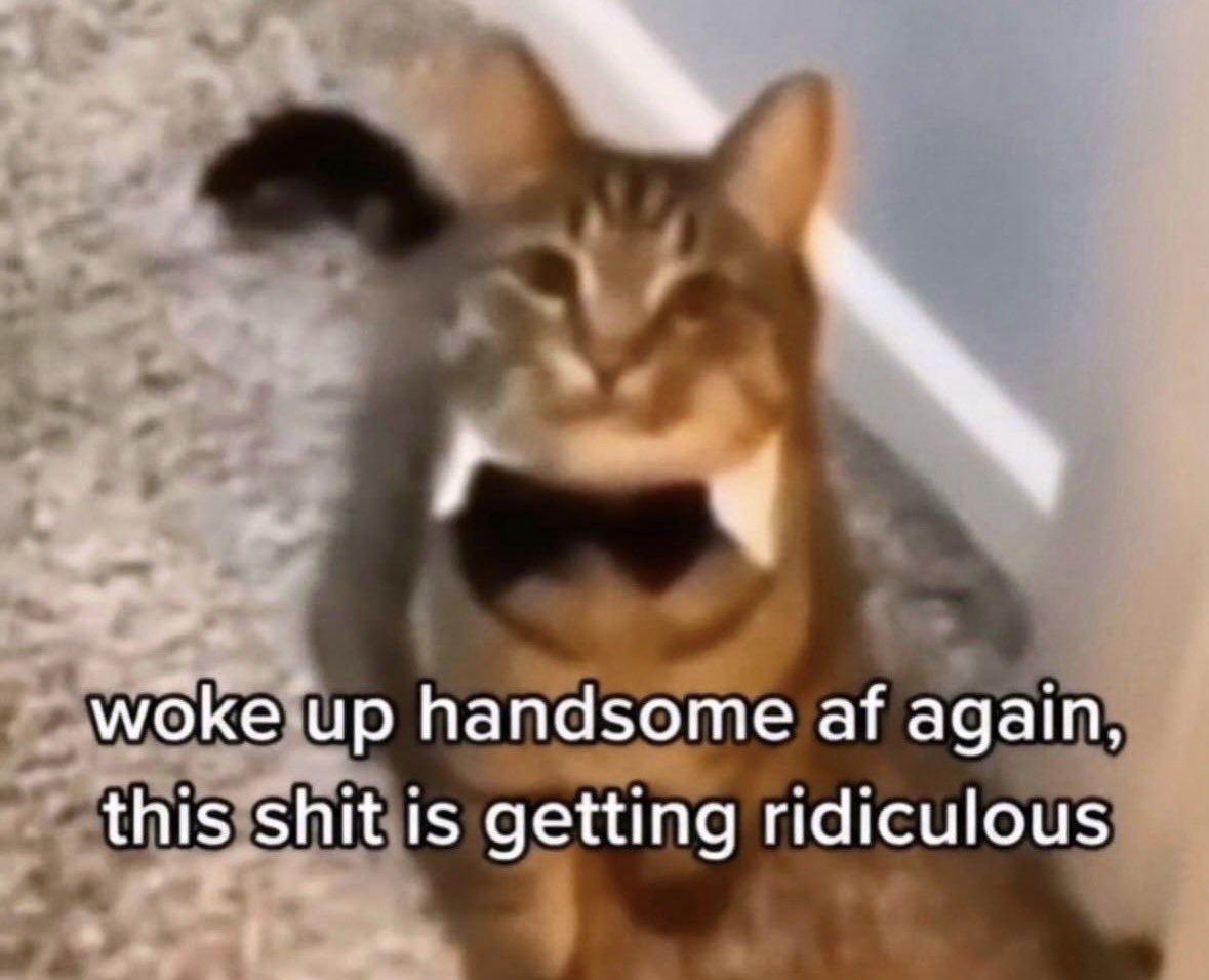 literallymecats's tweet photo. https://t.co/BMY0TcxxBj