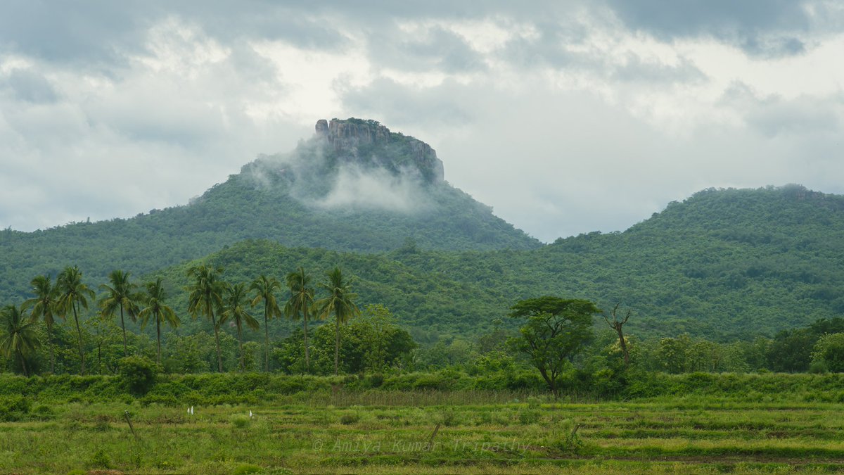 amiyaKT's tweet photo. Countryside Odisha during monsoon https://t.co/2uuwyyjdRM