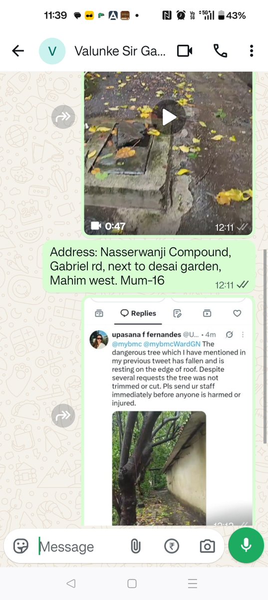 UpasanaF's tweet photo. @mybmc @mybmcWardGN still no help received frm Asst.Sup. Garden dept GNorth for tree fallen inside compound of Nasserwanji Compound, next to Desai Garden Mahim west. Tree lying on edge of a roof, right over way of entrance of society premises. No action despite several requests. https://t.co/YUpdy1x3EN