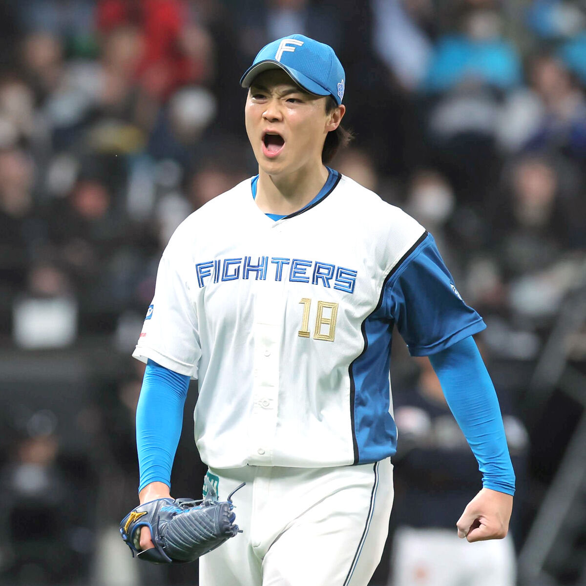 Mi6FsBhjX549539's tweet photo. 左　山崎福也
右　カワウソ https://t.co/we5DydlQn0