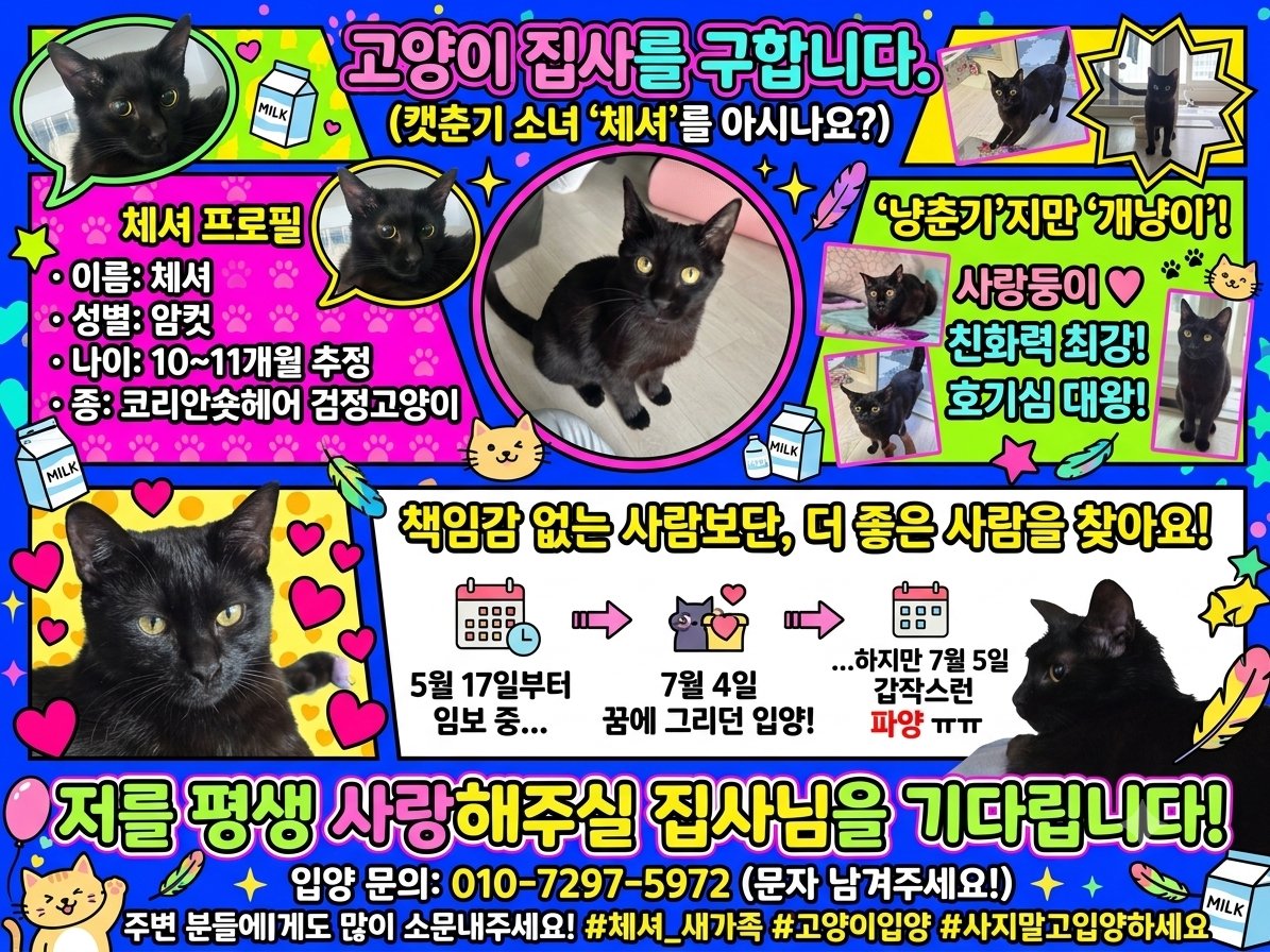 RATigerCAT's tweet photo. 지인이... 고양이 임보하다가
회사 동료가 입양하겠대서 기뻐했는데
하루만에 파양 선언..ㅋㅋ...................

참기름 바른 것 같이 윤기가 쟈르르 흐르는 김 고양이입니다
천사개냥이고요...
책임감 있게 깜고의 평생을 함께 해주실 집사 분 구합니다... https://t.co/G8Gm0KiT6y