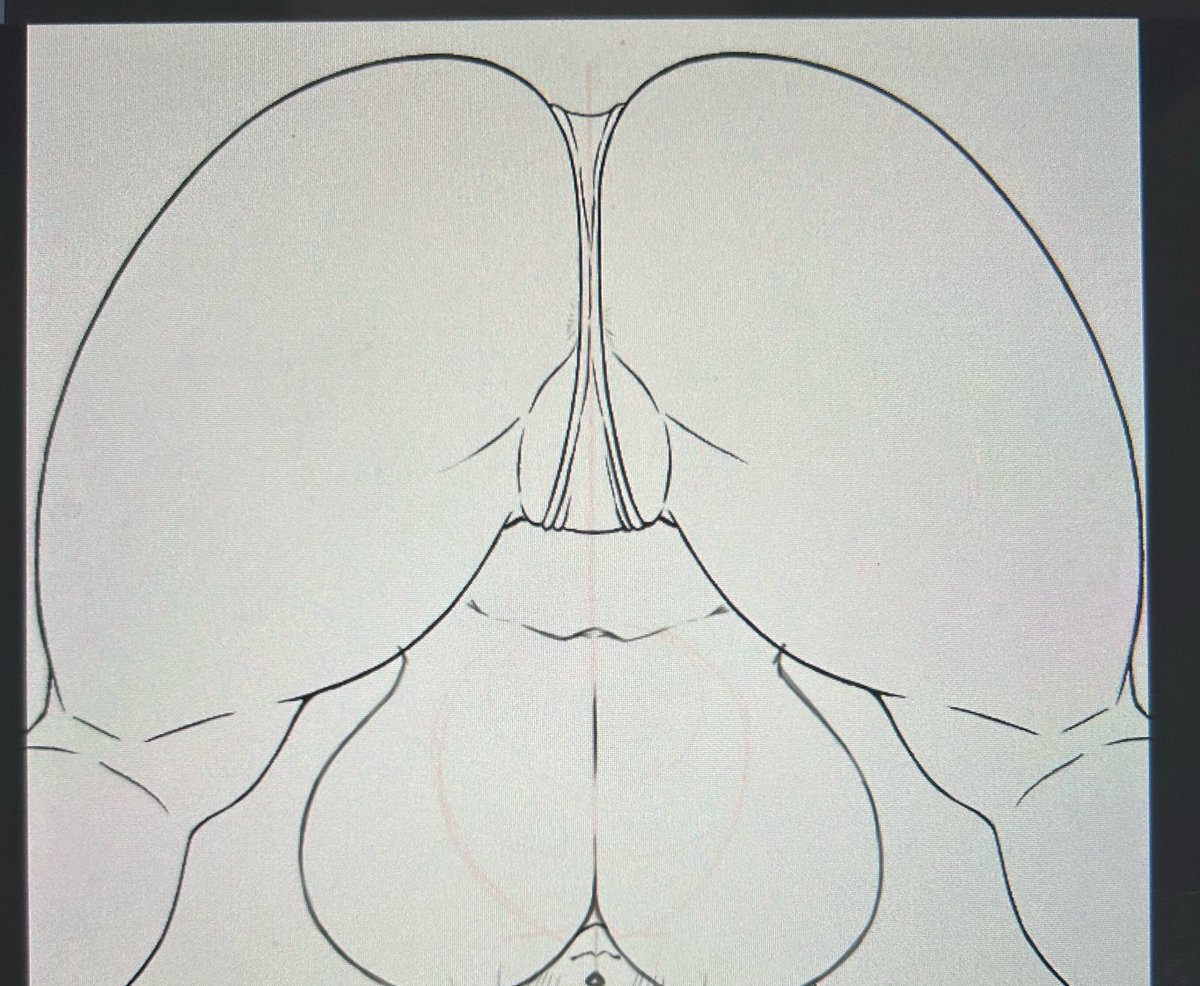 rasya782's tweet photo. 次のイラストラフ https://t.co/0pozfhHImd
