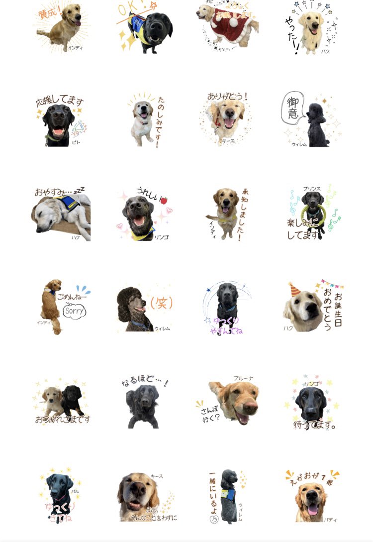 JSDA_ServiceDog's tweet photo. みなさまが介助犬スタンプを使用いただくだけで
「介助犬って犬がいるんだ！」と
知って頂くきっかけになります✨✨

当会のLINEスタンプは
かわいいイラストや写真で作成しています！
クリエイターズスタンプで
"日本介助犬協会"と検索下さい🔍

https://t.co/97sBtoCvRu

#真希ナルセ　さん https://t.co/NBShYbUui9
