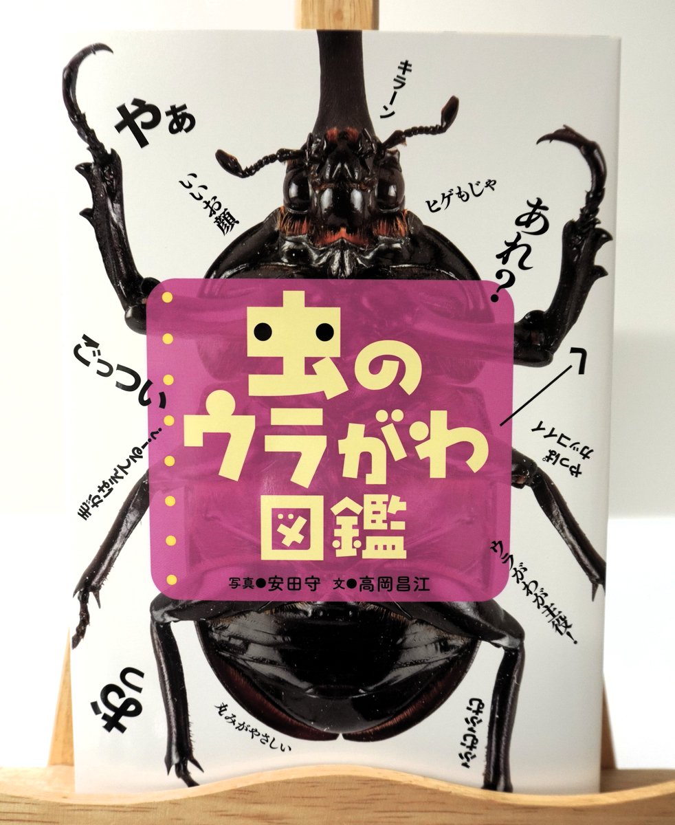 あすなろ書房 on X: 