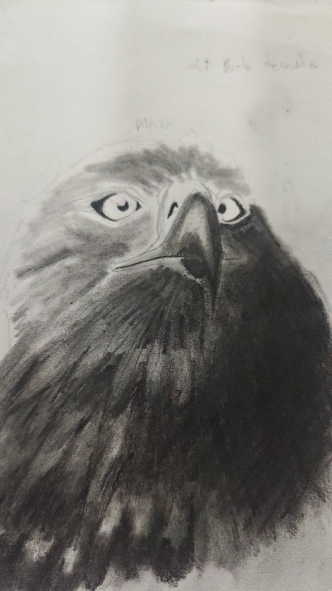 raco_pe's tweet photo. Primer intento con carboncillos
#ArtistOnTwitter #arte https://t.co/yxR5IaDvcI