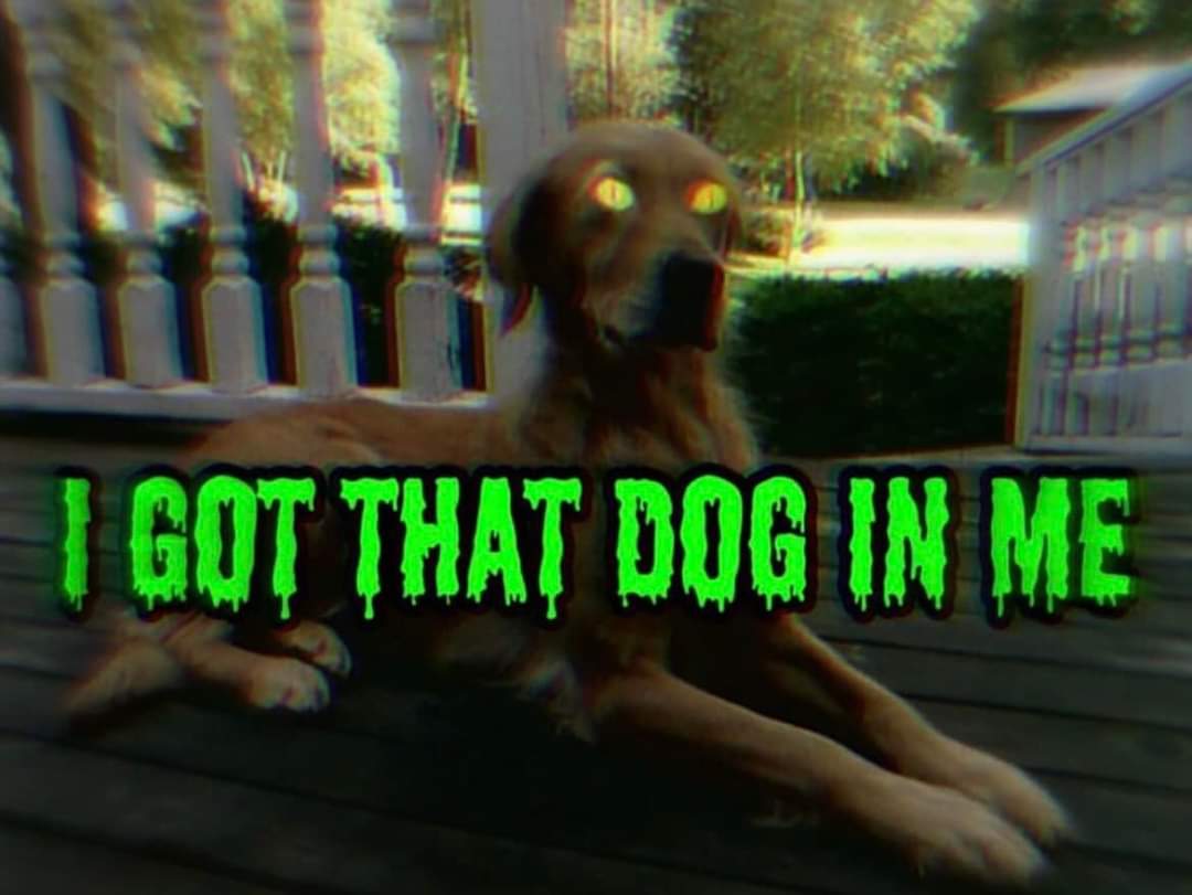TheGhostHost tweet picture
