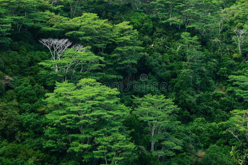 davidkurten's tweet photo. There is no climate emergency.
Carbon dioxide is natural and good for plants. https://t.co/C3u3gd8Oy1