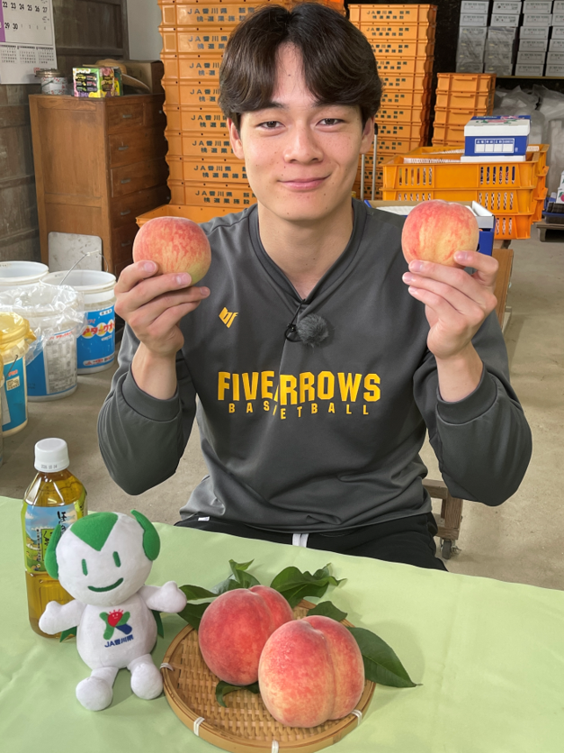fivearrows_K's tweet photo. #今林萌 選手が、丸亀市飯山町で栽培している桃「飯南の桃」の収穫を体験、採れたての桃を味わいました🍑
飯南の桃はみずみずしくて、甘くてジューシーでした！
とても美味しかったので、皆さんも味わってください😋
初夏のギフトとしてもおすすめです！🎐

#JA香川県 
#香川ファイブアローズは香川県産農畜産物を応援しています 
#飯南の桃 #もも #peach
#農業 #新鮮 #旬
#香川県 #Kagawa    
#香川ファイブアローズ 
#つなげるつながる