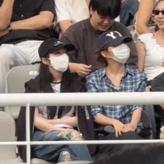 강배 tweet media