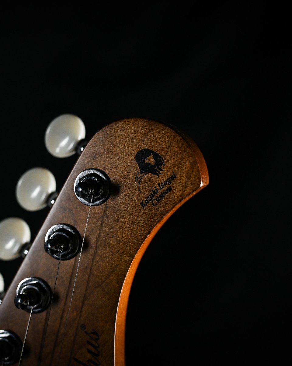DeviserGuitars's tweet photo. このモデル、"あの"ギタリストさんの監修モデルです！！
ついに明日、7月7日18:00 情報を公開！✨️✨️

#BacchusNewModel https://t.co/ZMQ4NqlvT9