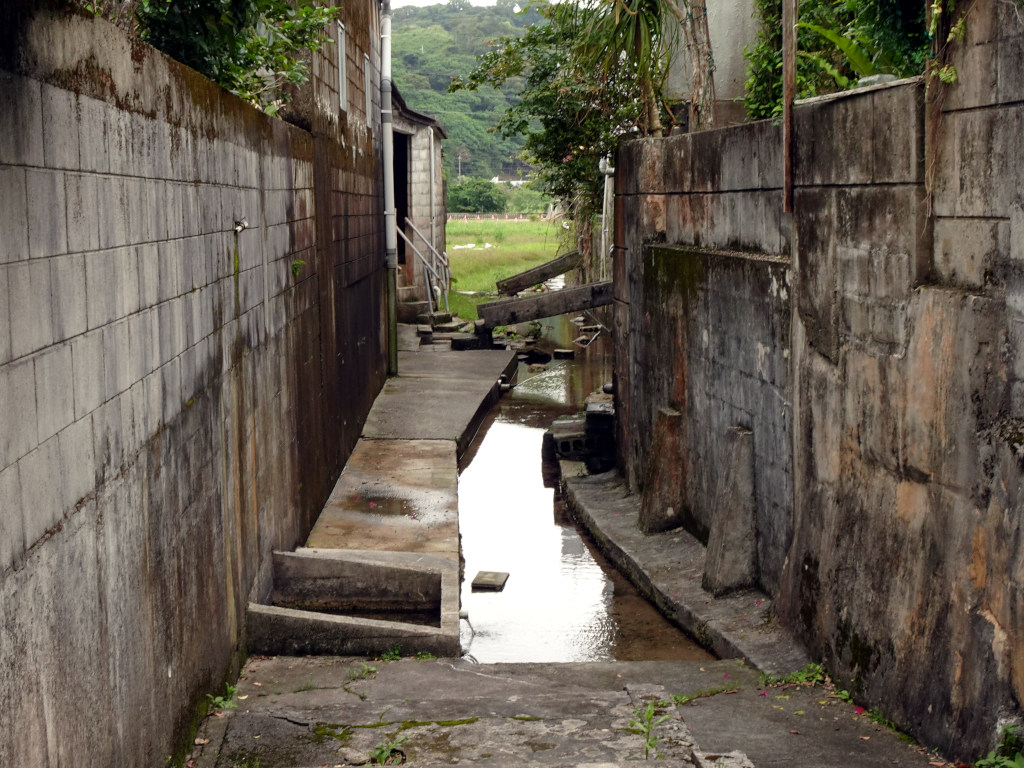 furonomono's tweet photo. 沖縄県本部町伊野波 https://t.co/QK7d9Ee8Nd