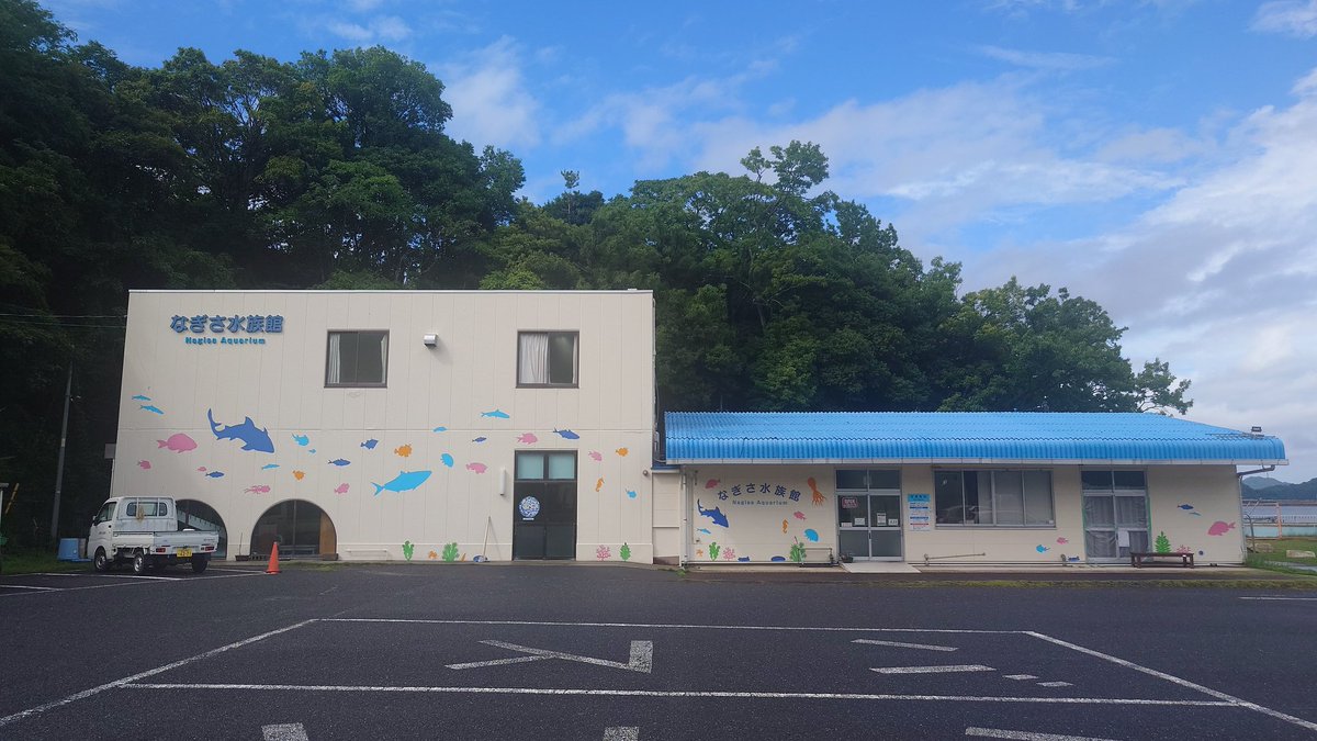 uhyo27x's tweet photo. 隣接するなぎさ水族館へ。
有料の中では日本一入館料が安いそうな
小さな水族館は展示を頑張ってて楽しい。 https://t.co/q3jnm1X9at