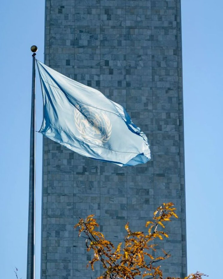 United Nations Pakistan - اقوام متحدہ پاکستان tweet media
