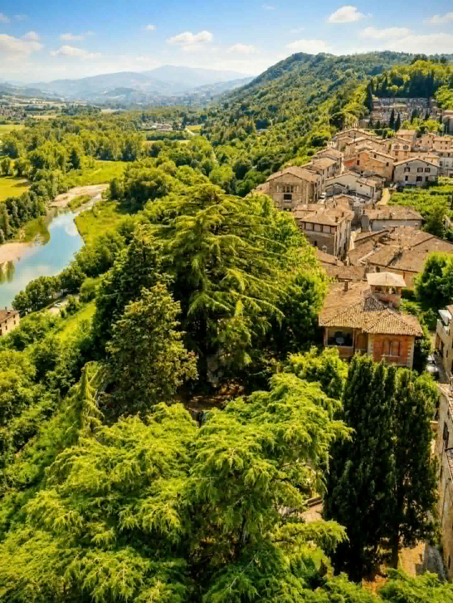 turismoER's tweet photo. A metà strada tra il verde della Val d'Arda, e l'azzurro del cielo: Castell'Arquato non è solo un borgo, è un invito a rallentare🧘‍♀️
Ph. roberta.lucchesi | #inEmiliaRomagna #VisitEmiliaRomagna #italianvillages https://t.co/REoiphDfvB