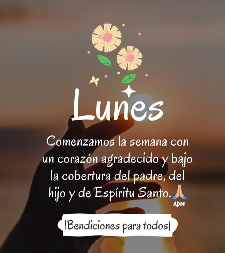 oracion_diaria's tweet photo. Bendecido Lunes..! 🙏🏻 https://t.co/iAMWGUGTgw