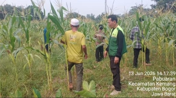 dompetdhuafaorg's tweet photo. Bertani Jadi Terapi, Tumbuhkan Harapan bagi Kawan Disabilitas Mental.

LPM Dompet Dhuafa menghadirkan terapi okupasi berbasis alam bagi kawan disabilitas mental melalui aktivitas bertani di Bogor. Selain melatih keterampilan dan kemandirian, kegiatan ini juga menjadi ruang aman untuk membangun rasa percaya diri, kemampuan bersosialisasi, serta mendukung proses pemulihan dengan penuh martabat. Baca selengkapnya di : https://t.co/tkA4tmML3Y

#LPMDompetDhuafa #DisabilitasMental #IndonesiaBerdaya