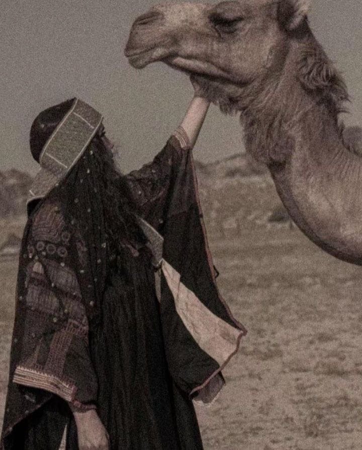 OnlyAdeemmm's tweet photo. إذا المرءُ لم يبذل من الودّ مثلما
بذلتُ ��هُ فاعلمْ بأنّي مفارقُه. https://t.co/G0MSzNwpft