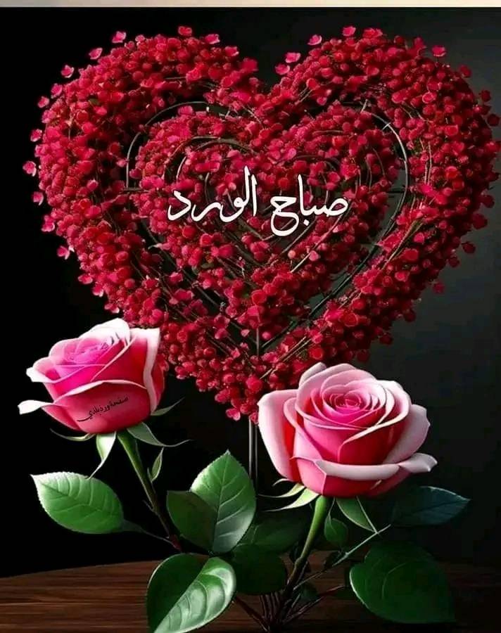 mder9484's tweet photo. @ly7lya شَوقى لِرؤياكِ وجهٌ طافَ كالقمرِ
 كَأنّـهُ نَجْمـةٌ فـى لَيْـلَةِ السَّـفَرِ
 
 يا لَحْنَ اُغْنِيَـةٍ يَجْتـَرُّها سَهَرٌ
 فى هدأةِ الليلِ أو إطلالةُ السحرِ
 
 رَقْراقُكِ الشَّهْدُ يا رُمّانَ ذائِقَتي
 قَدْ سالَ شَوْقاً إلى ديباجةِ السُررِ https://t.co/x3cMDtTPdP