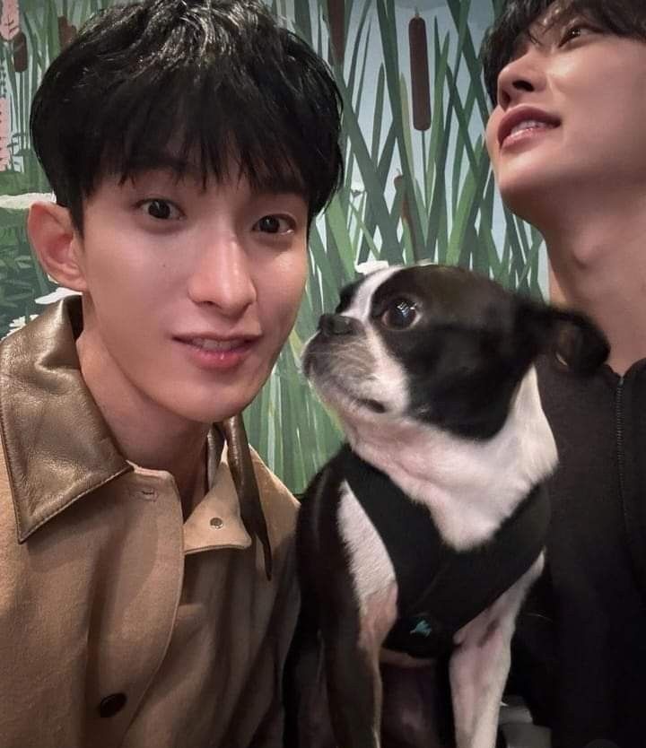 sooiemoroll's tweet photo. seoksoo with doggo >______< 🩷 https://t.co/iRkHNSiyja