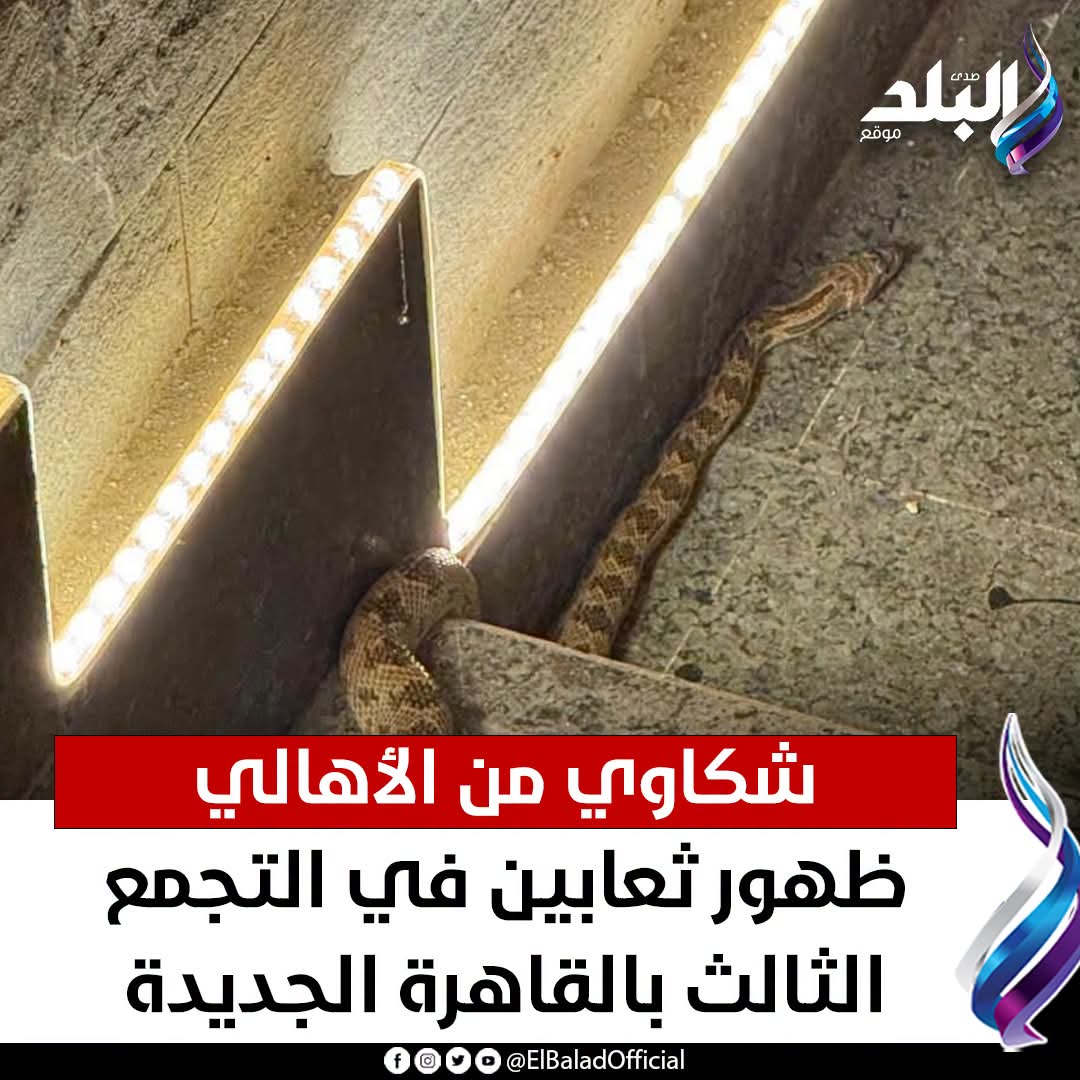 Radwan6655's tweet photo. ايه سبب انتشار الثعابين والافاعي بكثرة الفترة دي؟ https://t.co/vX4AJwahYw