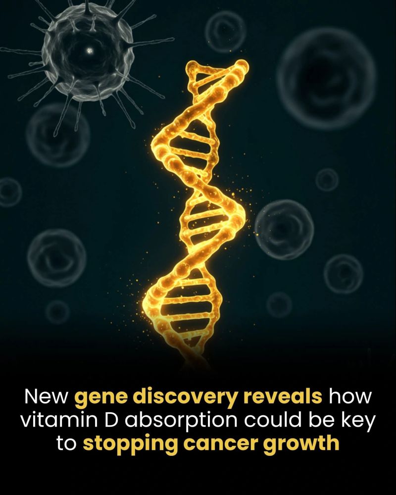 Elizasmith80's tweet photo. A newly discovered gene involved in vitamin D absorption may help regulate cell growth, offering insights into preventing cancer progression and supporting future targeted cancer treatment research and therapies.

#VitaminD #CancerResearch #GeneDiscovery #CancerPrevention https://t.co/2ZVsn10lIU