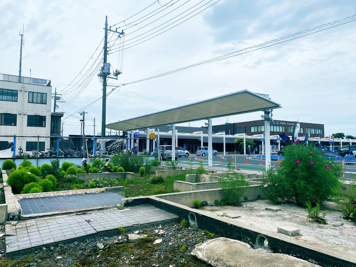 oaraiomotenashi's tweet photo. 大洗駅前の緑地化空きスペースに可愛いカカシ達が現れました☺️

大洗に来た時に見つけてみてね👀

#大洗 #うみまちテラス #大洗駅 https://t.co/dDBLNNcSaV