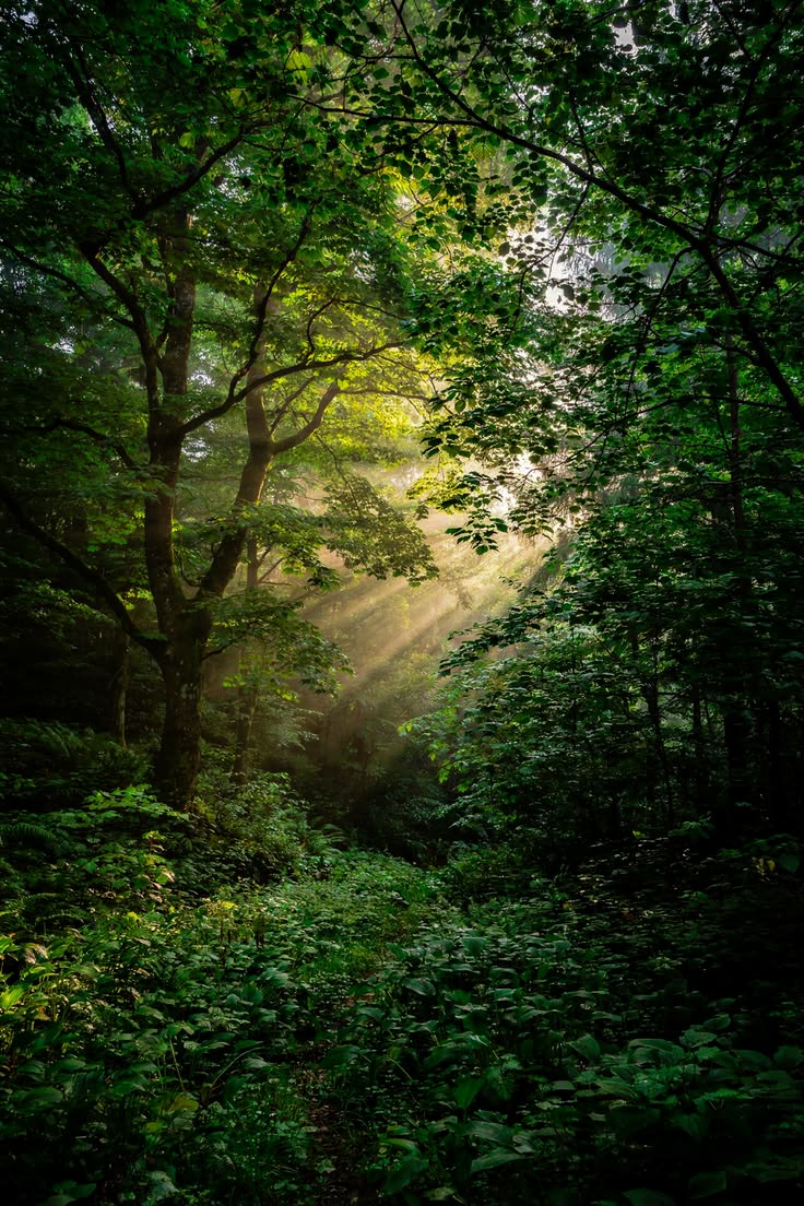 elemmiressoul's tweet photo. light of life. https://t.co/kGPUp2mXqH