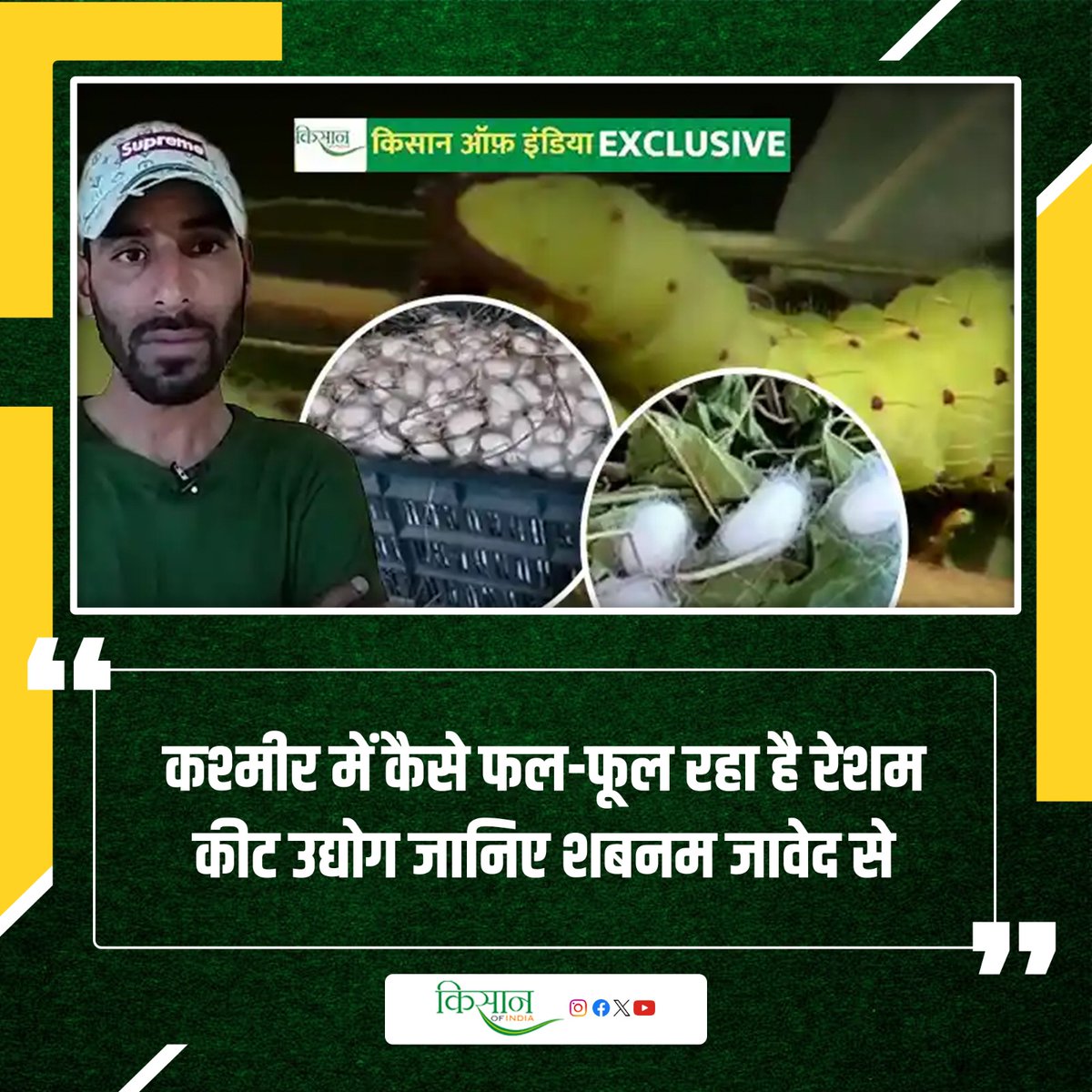 KisanofIndia's tweet photo. शबनम जावेद ने बताया रेशम उद्योग से मुनाफे का रास्ता
https://t.co/khAwsbN52j
#KisanOfIndia #Sericulture #SilkFarming #Silkworm #MulberryFarming #AgriBusiness https://t.co/w3x2feMFvq