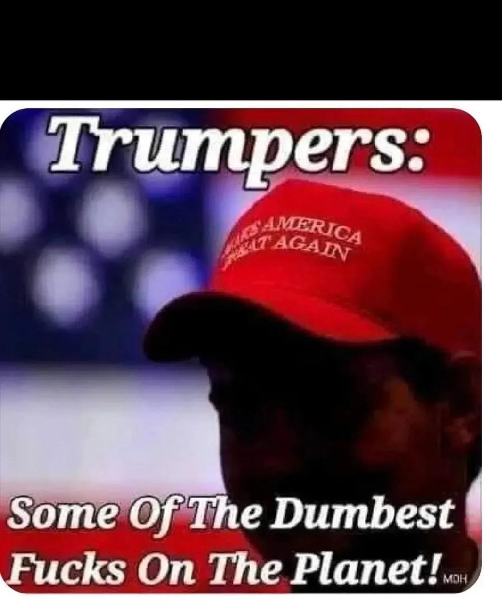 AllenSmith57273's tweet photo. @retiredfx @itsrosesm You should learn that you retards have no brains! You marry and have sex with family members them protect felons and pedophiles! The MAGGOT party is nothing but a bunch of sick, retarded mother fuckers! https://t.co/GwvtDCGIRP